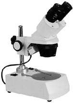 microscopio steroscopio
