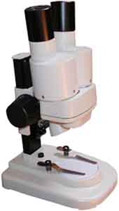 microscopio stereo